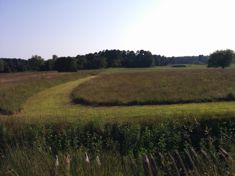 Illustration for article titled Yorktown Battlefield Sightseeing